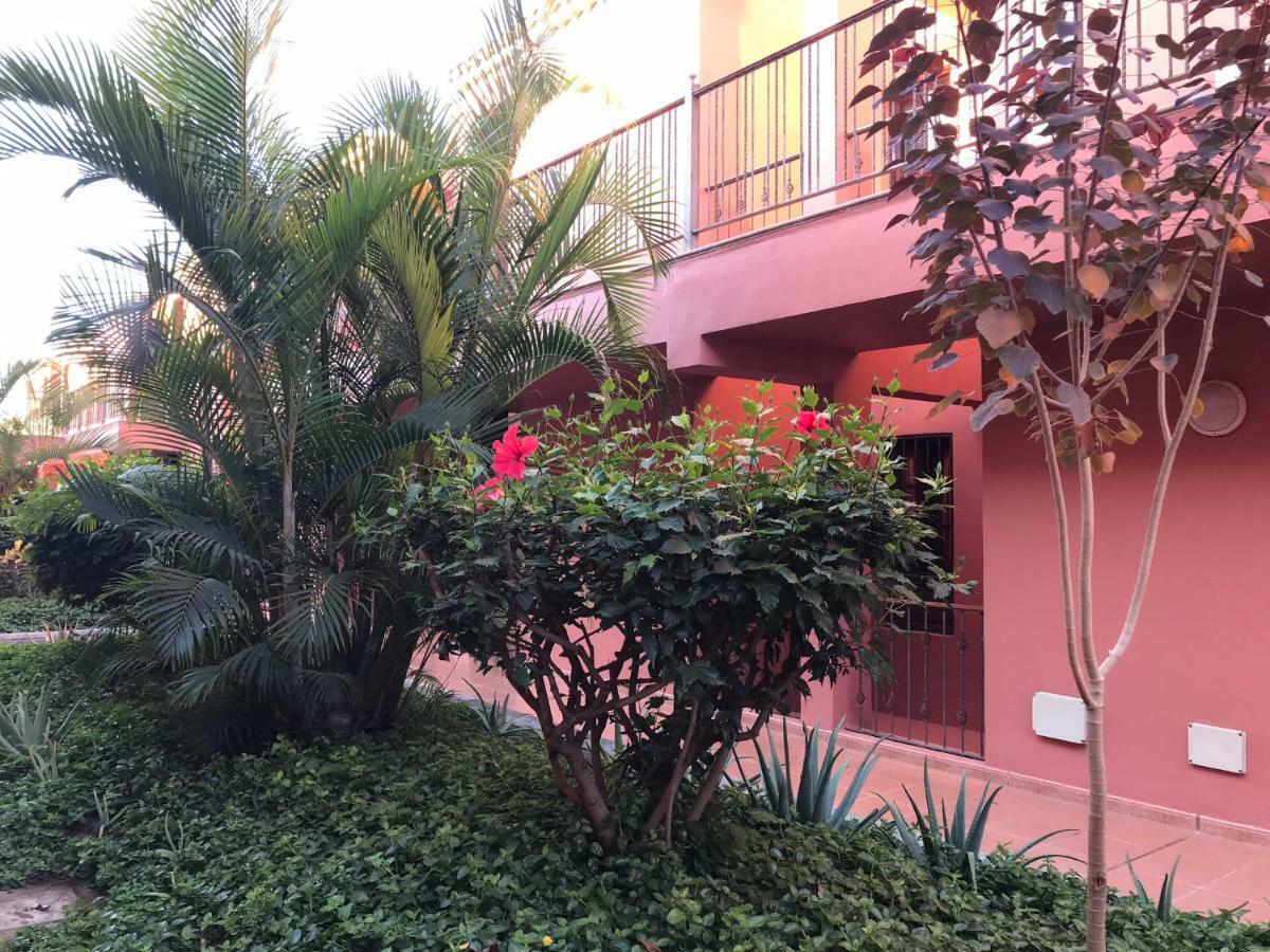 Dreaming The Sun Tenerife Costa Del Silencio Exterior foto